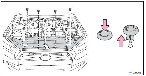 Toyota 4Runner: Engine compartment - Do-it-yourself maintenance